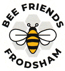 Frodsham Bee Friends